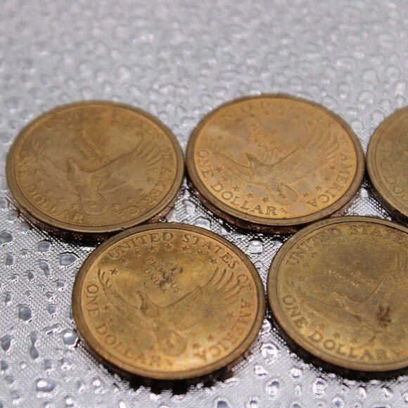 227254-(5) 2000 D Sacagawea Dollars - Picture 3 of 4